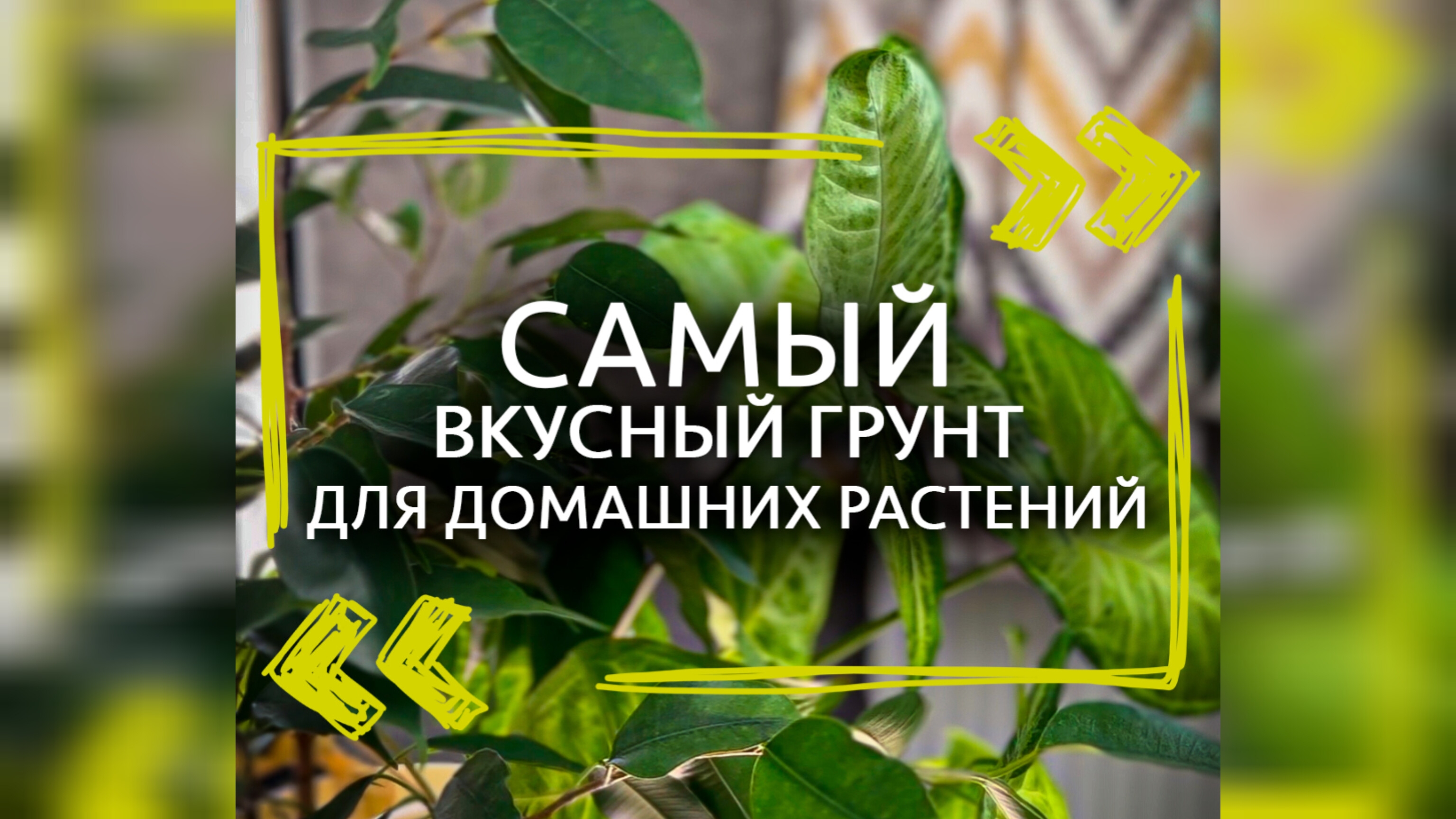 Самый вкусный грунт для растений 🌱