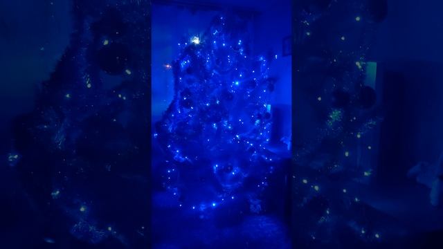 31.12.2023