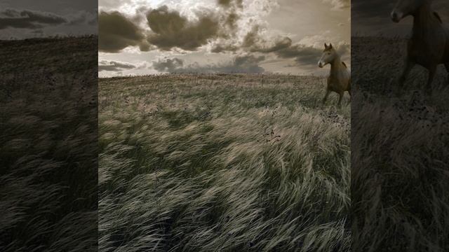 Улетай ветер. — (стих. в прозе)