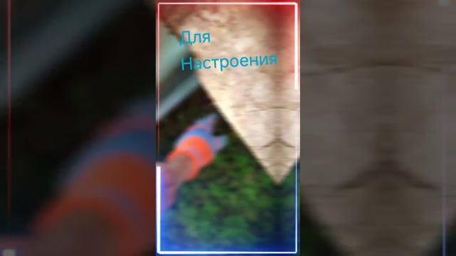 Красивое видео