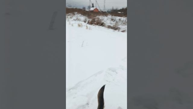 Мудрость Атоса номер 2