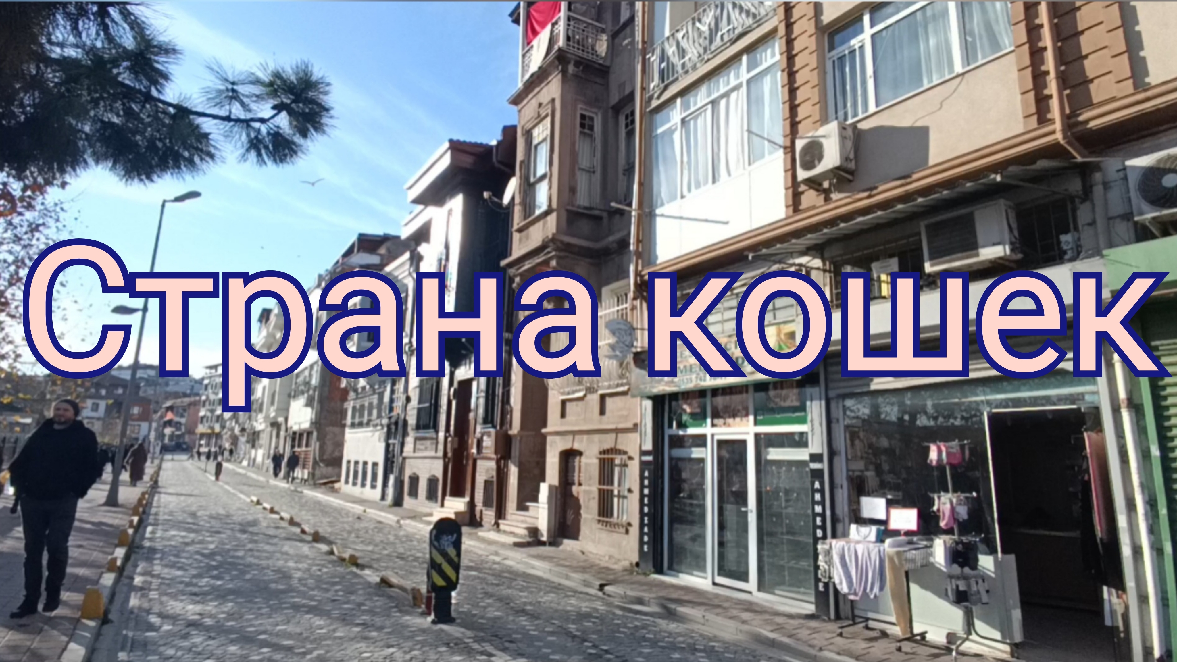 Страна кошек