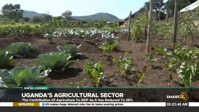 Uganda's Agricultural sector, The contribution of agriculture to GDP has reduced to 26%