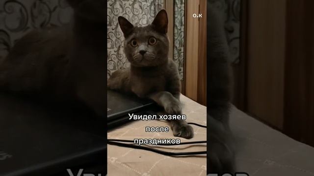 #Без слов😍🤩🤣