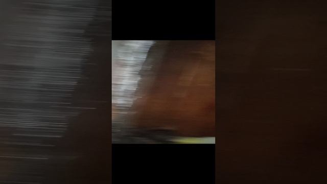 1000029515.mp4