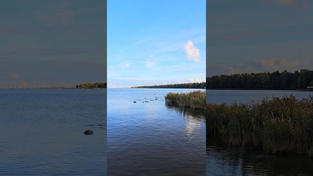 В Финском заливе, Петергоф