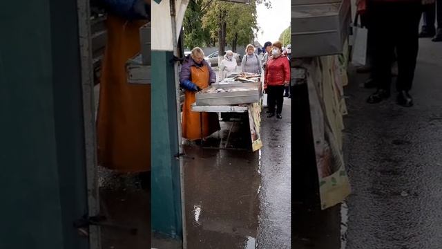 VID_20250116_044023_086.mp4