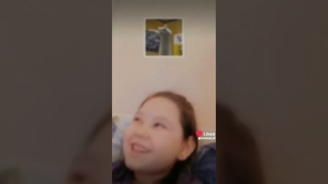Мой кот