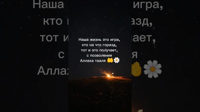 жизнь игра #жизнь #игра #life #game #short #shorts