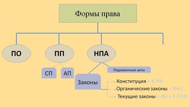 ТП: 13.2. Формы права