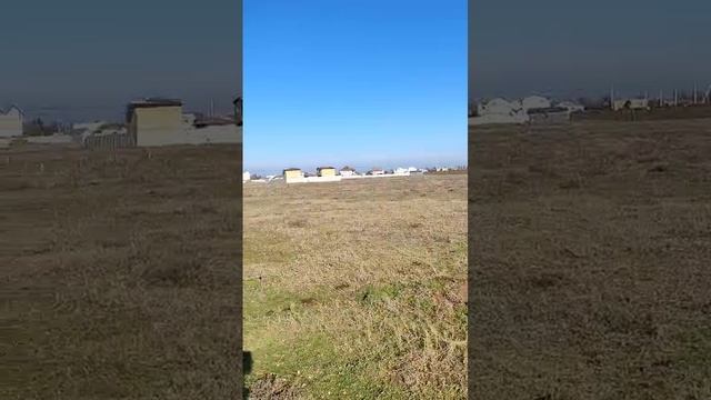 Молочное С юг
