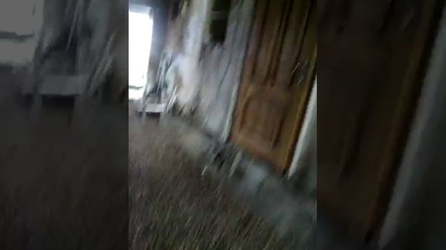 а говорят мечты не сбываются...
