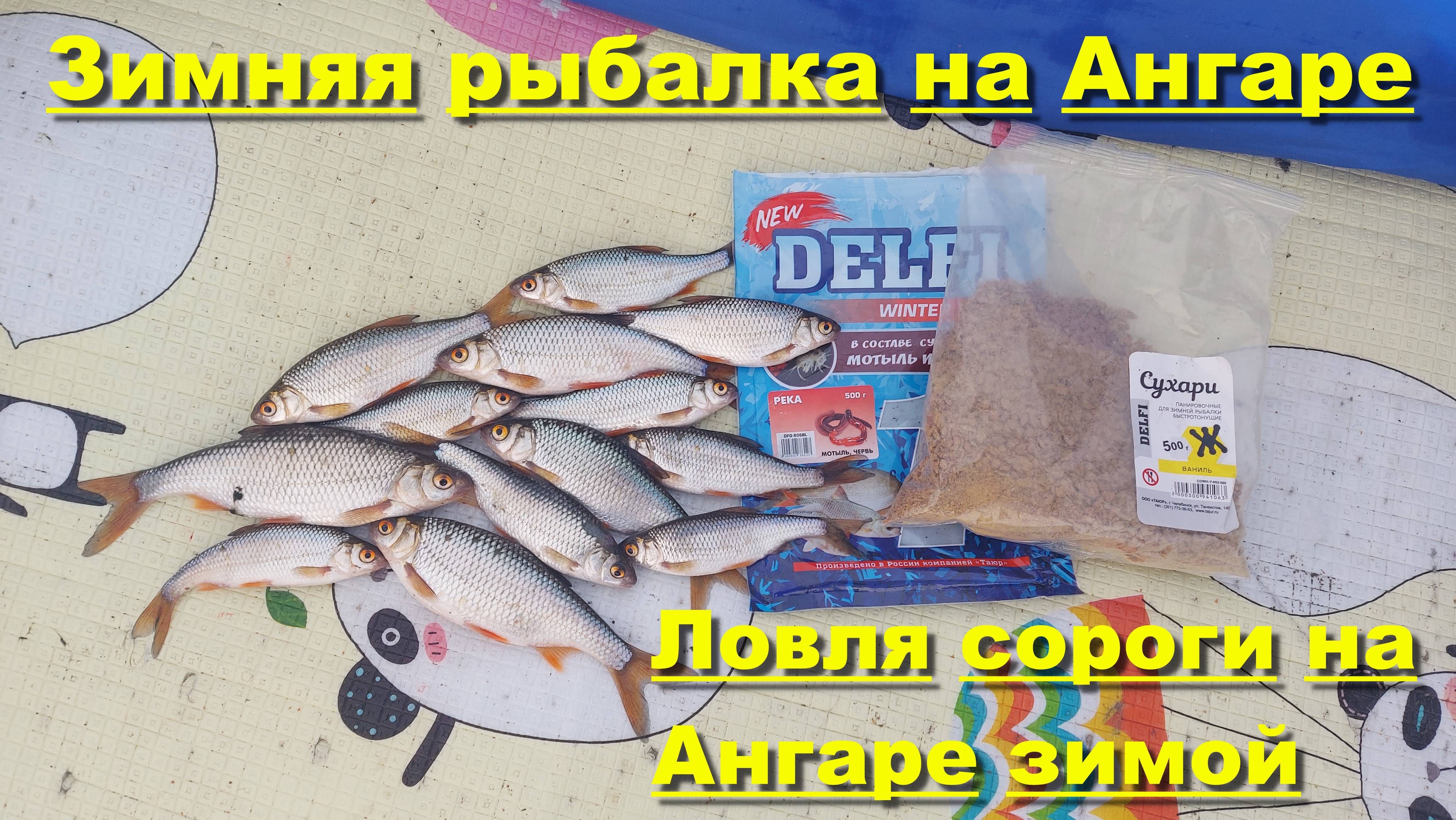 Зимняя рыбалка на Ангаре. Ловля сороги на Ангаре зимой