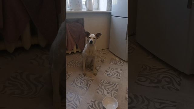 YouCut_20250105_231203581.mp4
