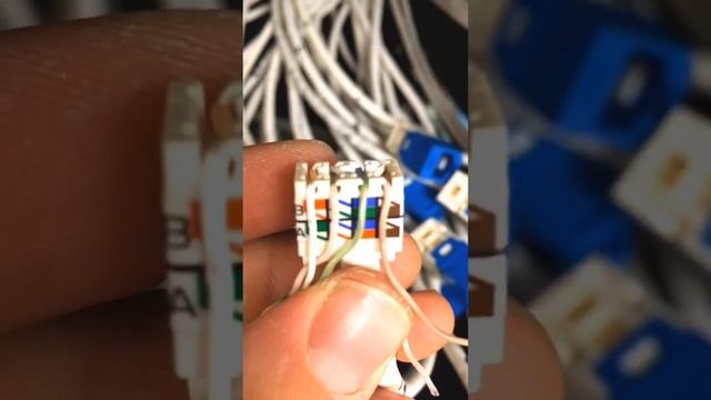 How to terminate CAT6 cables