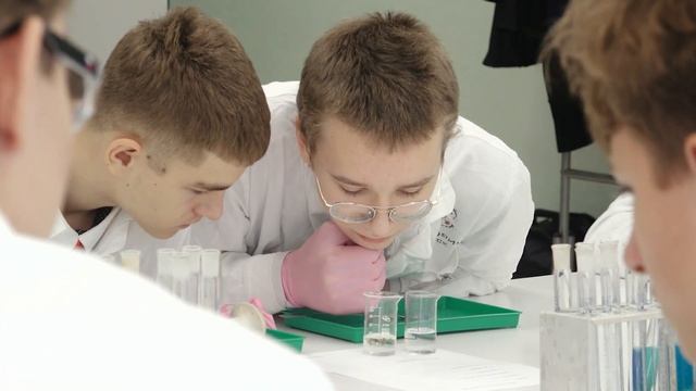 Что такое профессиональные пробы?