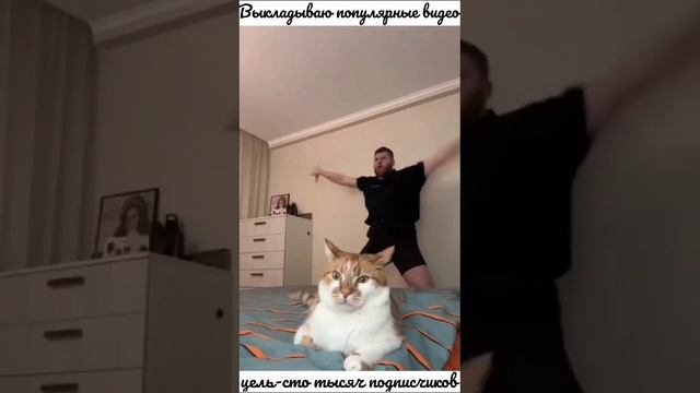 Смешное видео