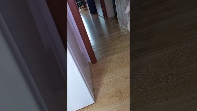 Кот🙂🙂🙂