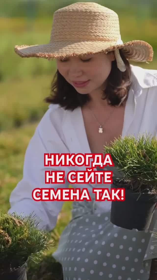 САМАЯ ЧАСТАЯ ошибка при посеве семян