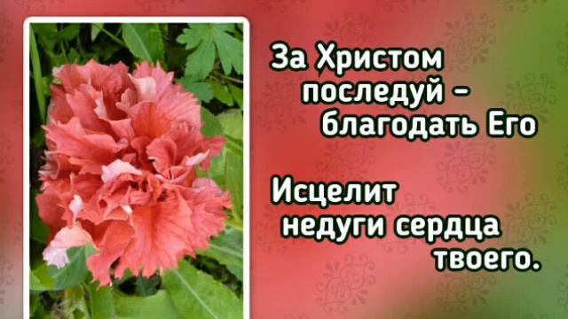 255 За Христом последуй (-)