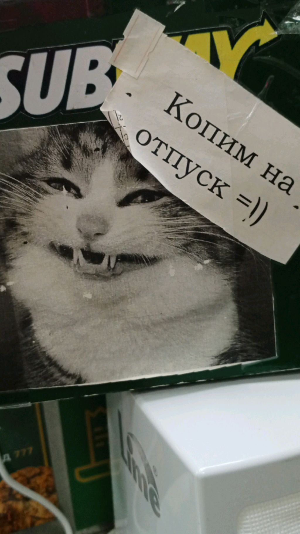 тунц тун туннццц