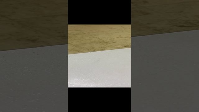 16-01-2025