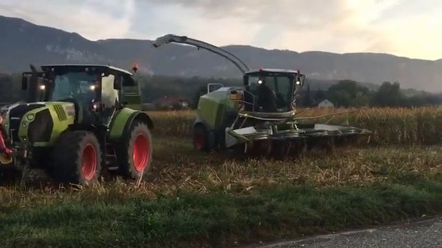 Claas Jaguar 940 + Arion 530