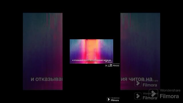 1000003071.mp4