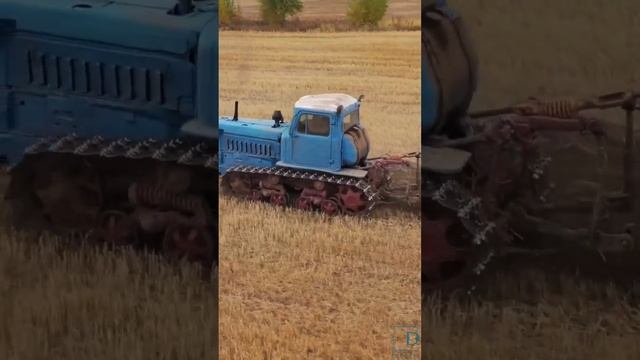 Дт 75 пашет