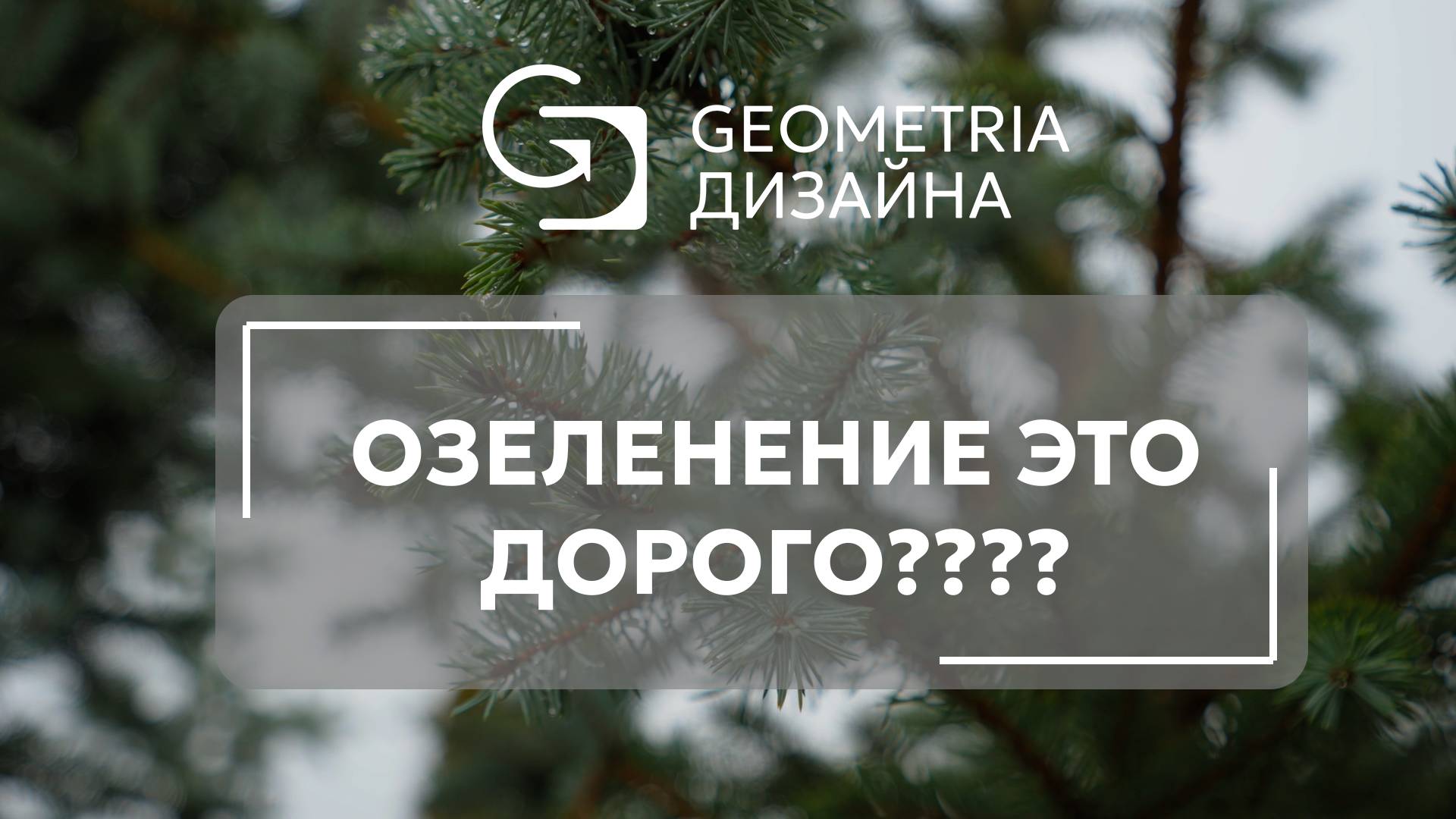 Озеленение это дорого??? | интервью с директором питомника "Садово-парковые растения"