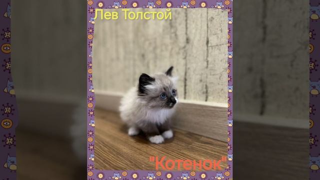 Аудиокнига. 
Лев Толстой. "Котенок"