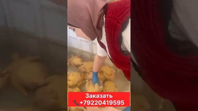 1000012919.mp4