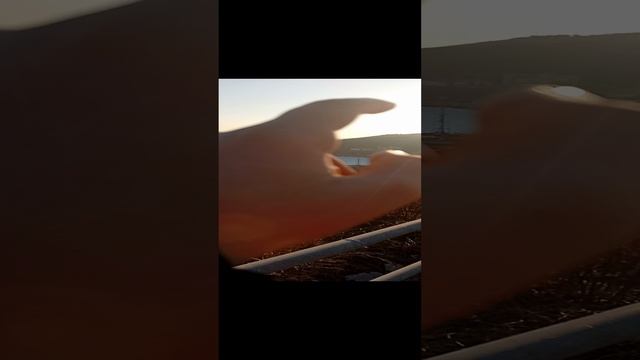 город Владивосток