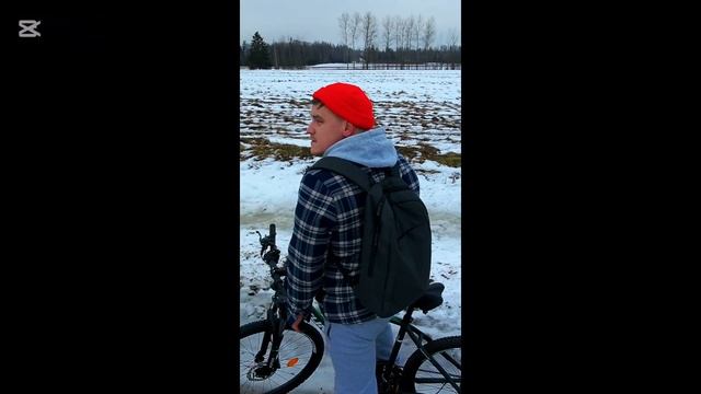 тестим