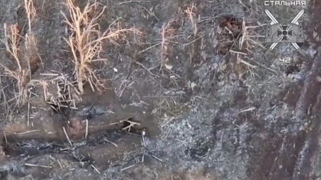 video_2025-01-17_19-02-05
