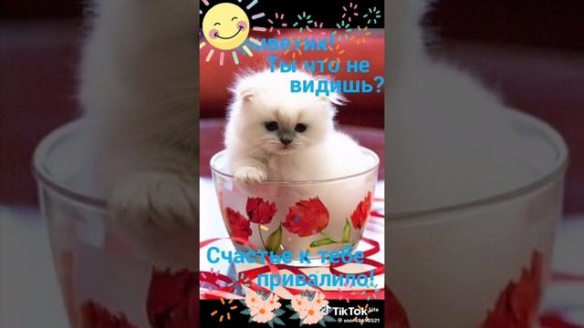 VID-20250117-WA0012
