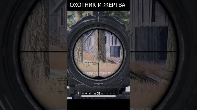 ОХОТНИК И ЖЕРТВА | PUBG | oi DESAVAGE #shorts #pubg #тренды #врек #тикток