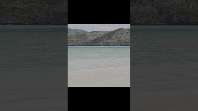1000019991.mp4
