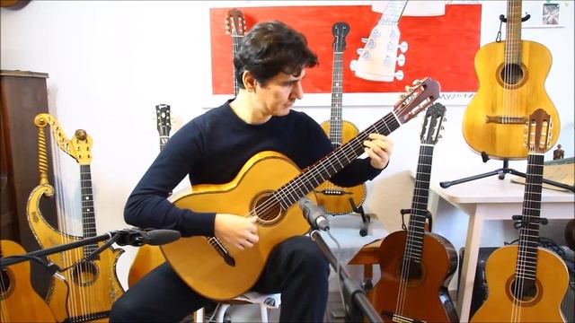 Erwin von Grüner double resonance - a special guitar