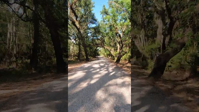 15,000 watt ebike ride through the park