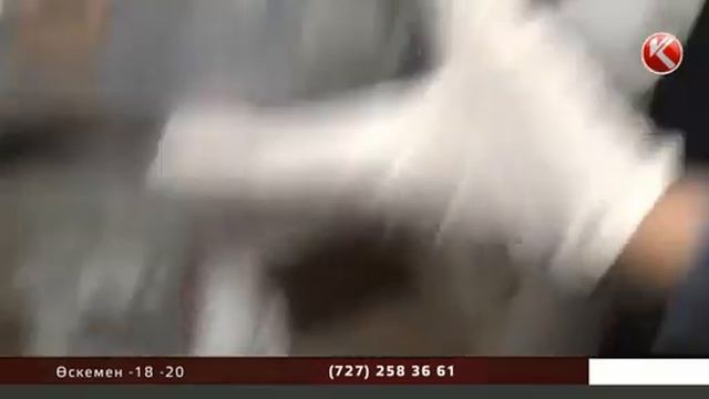 Экс-спикер  парамен ұсталған ұлы үшін жауап бермейтін болды!
