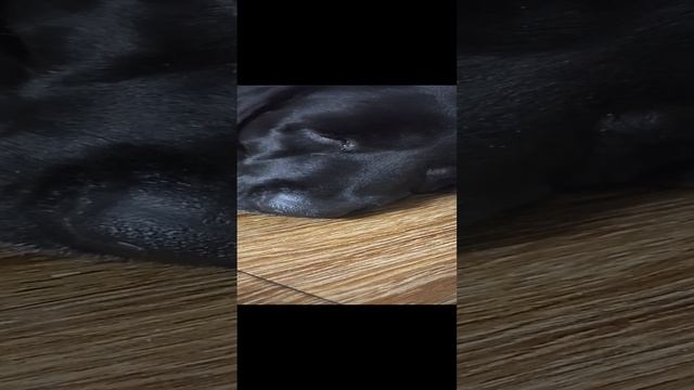 17-01-2025