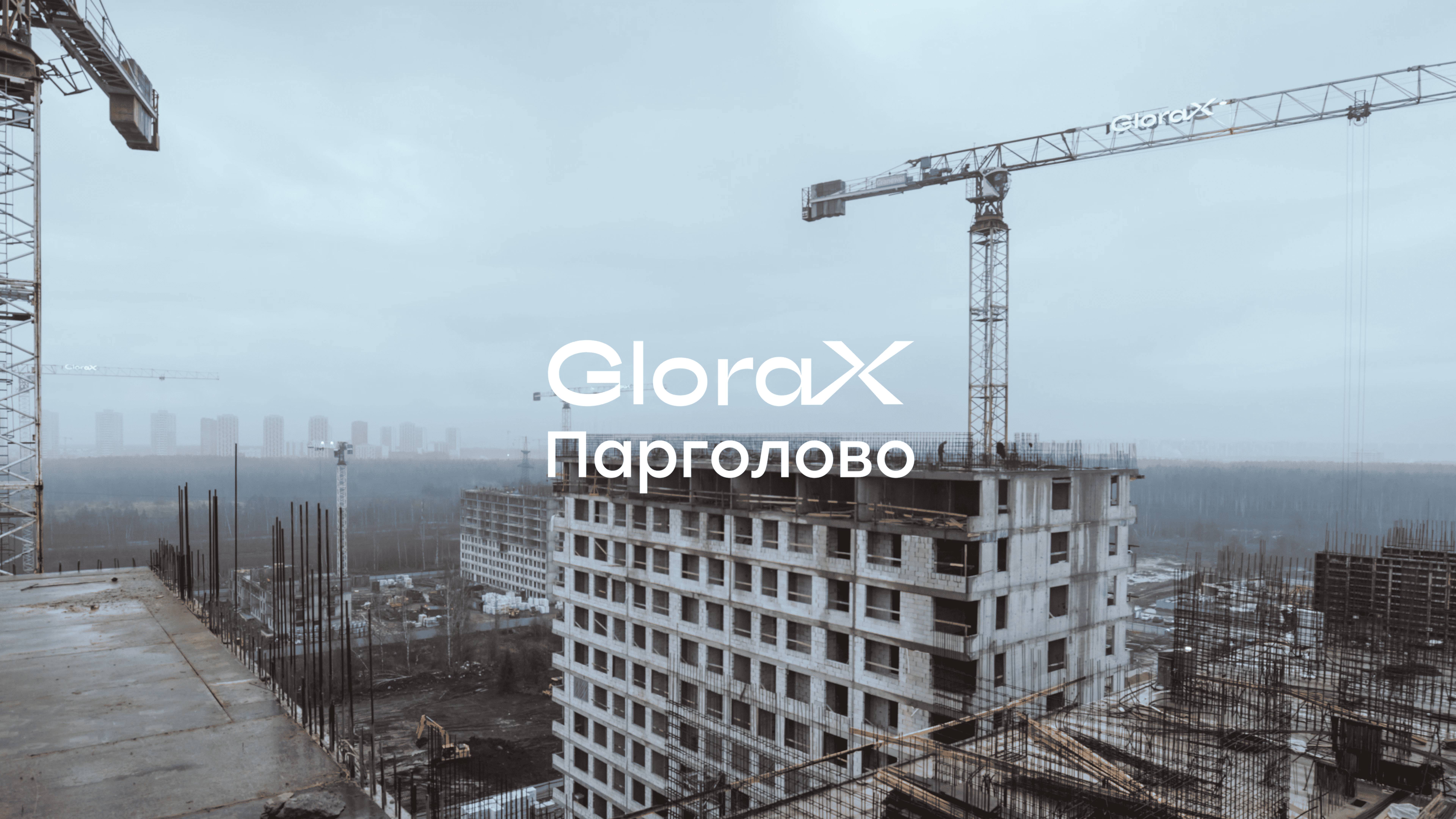 GloraX Парголово — динамика строительства за IV квартал 2024 года