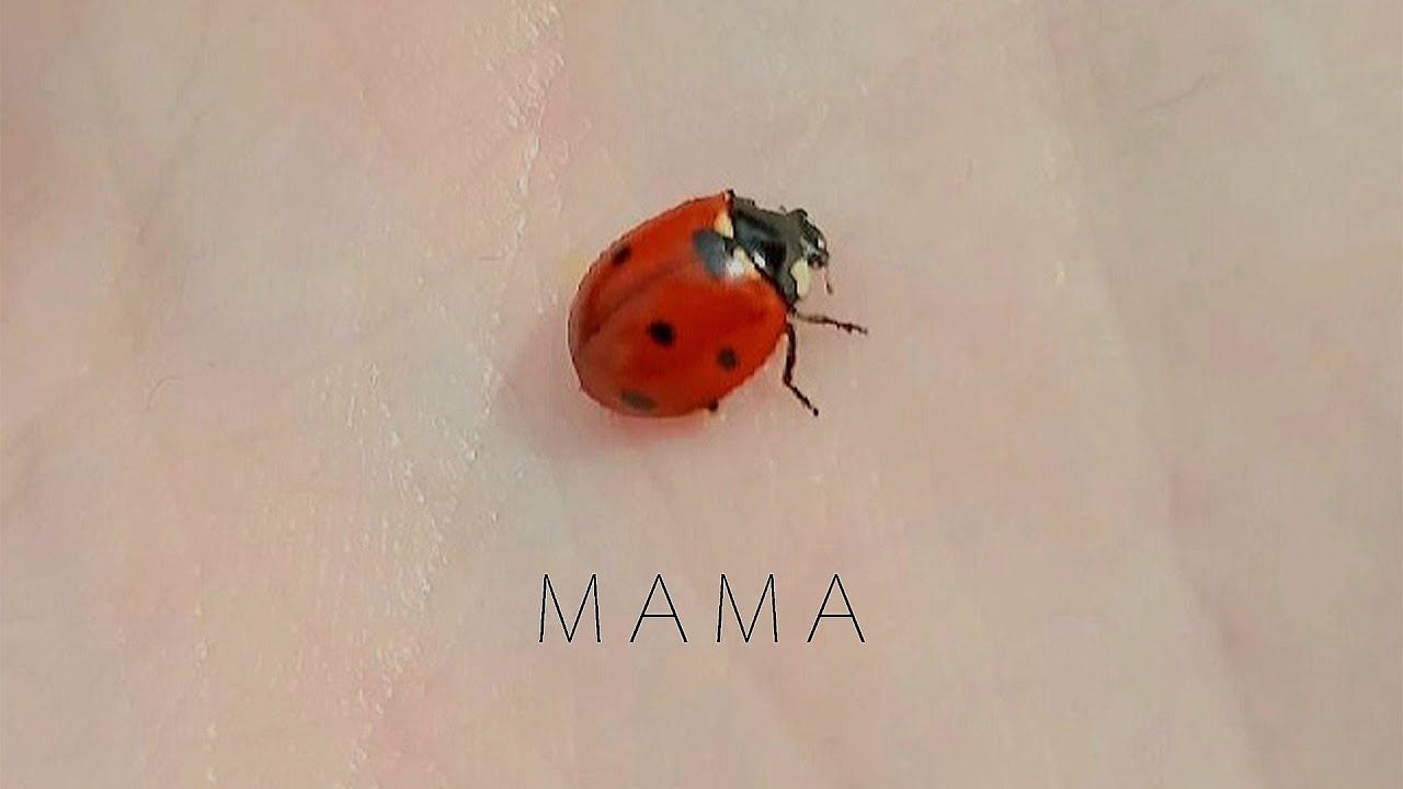 Мама [ Official Video ]