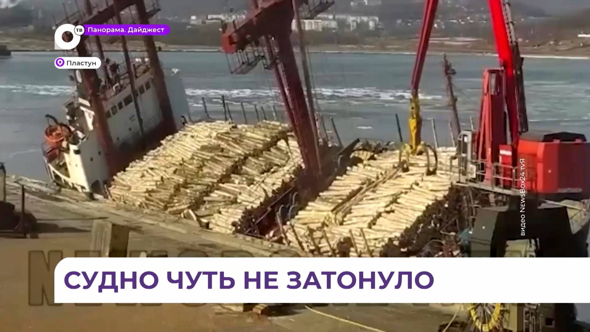По факту упавшей в море древесины транспортная прокуратура Находки начала проверку