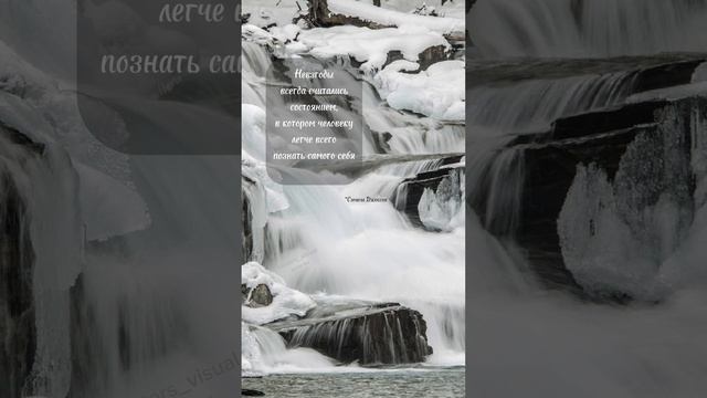 Цитата дня