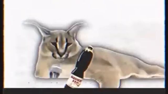 квас закамский это хит