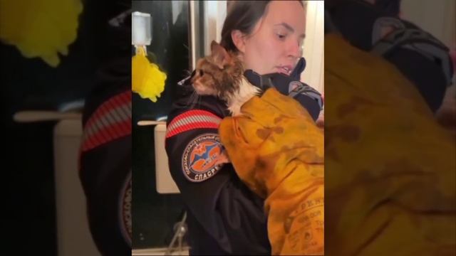 🐈На улице Кубанская кошечка Маша застряла в сливном отверстии раковины во время водных процедур🐈
