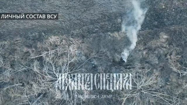 🤙 Снова рожки да ножки!   Продолжаем сбросы по лесопосадкам, в которых противник до сих пор пыта...