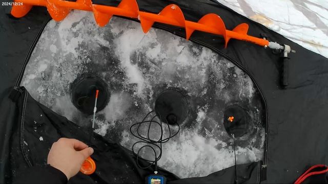 Сорога на силикон. Мотыль лаки джон, лещевый глаз от такедо. 24.12.24